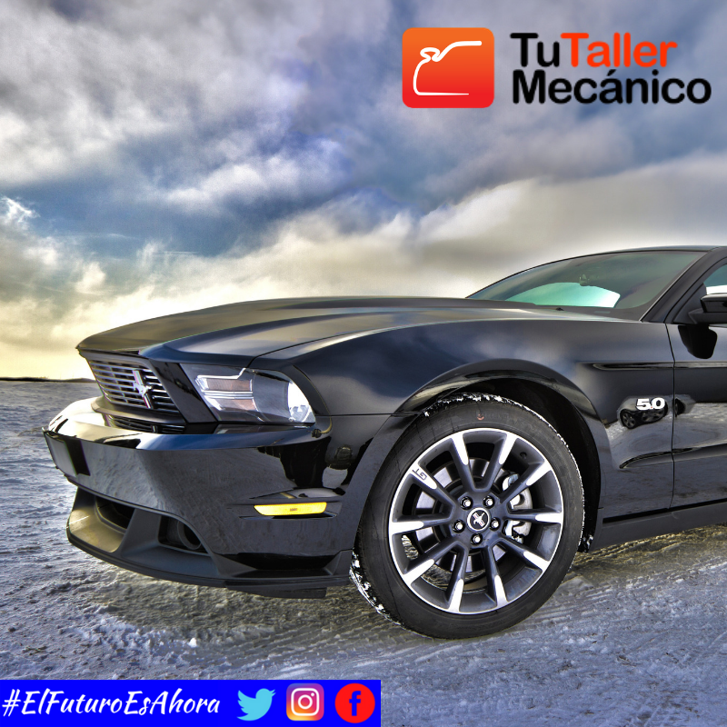 “Evite desanimarse: mantenga ocupaciones y haga del optimismo la manera de vivir. Esto restaura la fe en sí.”
Lucille Ball
#ElFuturoEsAhora #TuTallerMecanico #CalificaTaller
Visite nuestra página web 👇👇👇    

tutallermecanico.com