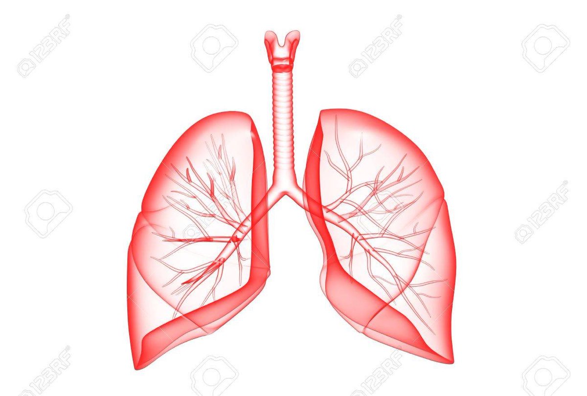 SortirduTabac's tweet photo. La difficulté d’arrêter de fumer par temps de confinement est énorme mais la nécessité et, osons dire, l’urgence est plus énorme encore. Vos poumons sont la clef pour traverser l’épidémie. https://t.co/zFs5QdoHrO