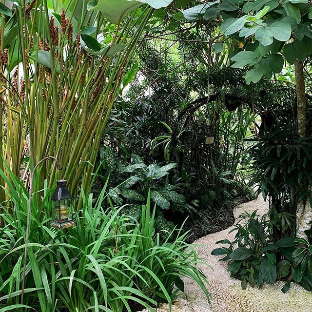 Der Weg zu unserem Glamping Zelt im Sandat Glamping Tents Boutique Hotel Ubud Bali. Beitrag und Video dazu am Blog!

The way to our glamping tent at Sandat Glamping Tents Boutique Hotel in Ubud Bali. 📸 @gindeslebensblog

Werbung für | ad for <a href="/glampin/">Glampin</a>… ift.tt/2xsBtOu