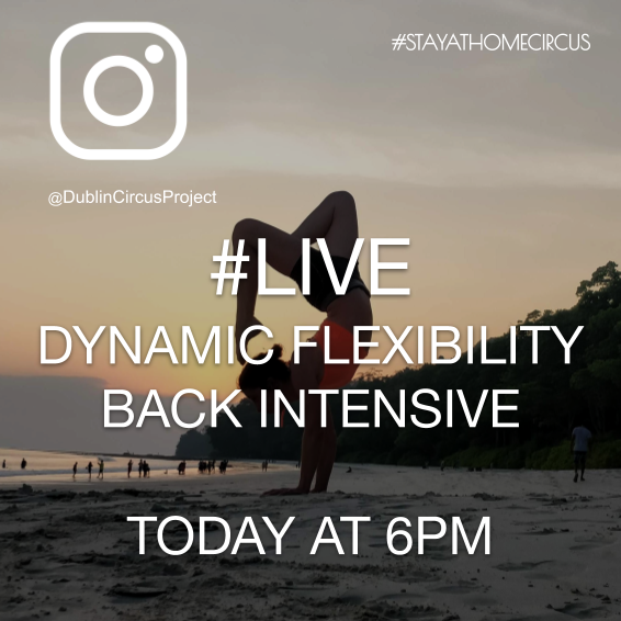 DublinCircus's tweet photo. TODAY AT 6pm
#StayAtHomeCircus with #DublinCircusProject
Erika Brocca will be offering a free workshop on Dynamic Flexibility (Back Intensive) on our Instagram, live from Italy.
#Circus @ISACSIreland #CircusIreland #Covid19 #dynamicflexibility #flexibility #challenge #free https://t.co/24Cd8RT4ID
