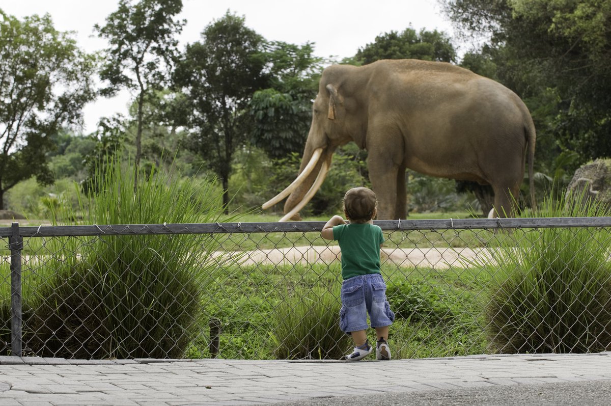 Action for Children (@actnforchildren) on Twitter photo 📓 Looking for a great activity for your children this Friday?
🎥 Why not tune in to a virtual zoo day at <a href="/chesterzoo/">Chester Zoo</a>?
🐧Zoos encourage curiosity and learning, a wonderful way to have fun while #homeschooling!
😊Join them on their @Facebook page from 10am! #OneSmileEachDay 📓 Looking for a great activity for your children this Friday?
🎥 Why not tune in to a virtual zoo day at <a href="/chesterzoo/">Chester Zoo</a>?
🐧Zoos encourage curiosity and learning, a wonderful way to have fun while #homeschooling!
😊Join them on their @Facebook page from 10am! #OneSmileEachDay