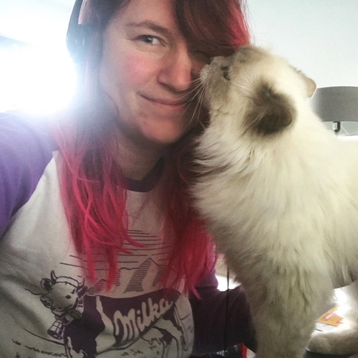 #today @ HomeOffice 😺 (Day 10)
She‘s not that #motivating today 🙄😹
#homeoffice #corona #covid_19 #catsofinstagram #coworker #stayhome #wirbleibenzuhause
<a href="/catsofinstagram/">Cats of Instagram</a>