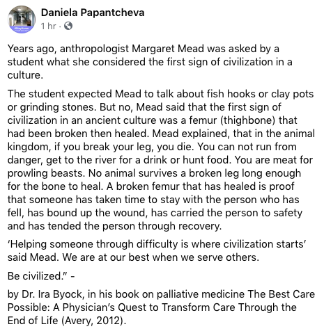 Teddy Zareva tweet media