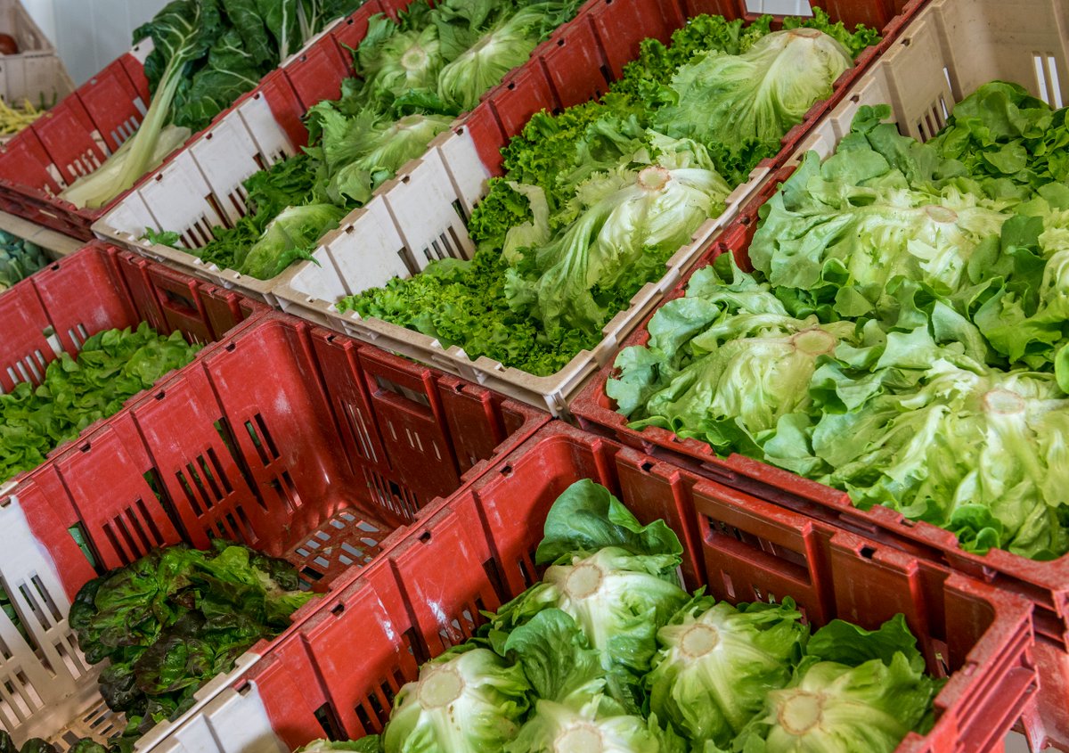 [#COVID19 - #Solidarité] 🍏🥕Vous êtes producteur sur le territoire de <a href="/GrandChambery/">Grand Chambéry</a> ? Afin de soutenir les producteurs locaux, Grand Chambéry se mobilise pour mettre en service une place de marché en ligne ⤵️
bit.ly/2UkRS0k