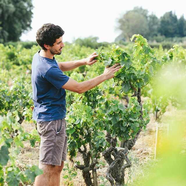 - Lettre ouverte à tous nos producteurs- « Chers producteurs, 
Une fois le choc passé, les équipes confinées en lieu sûr, les agendas réorganisés, tout notre planning chamboulé, la première pensée qui nous est venue est pour vous, nos producteurs de vin … ift.tt/2Und4Da