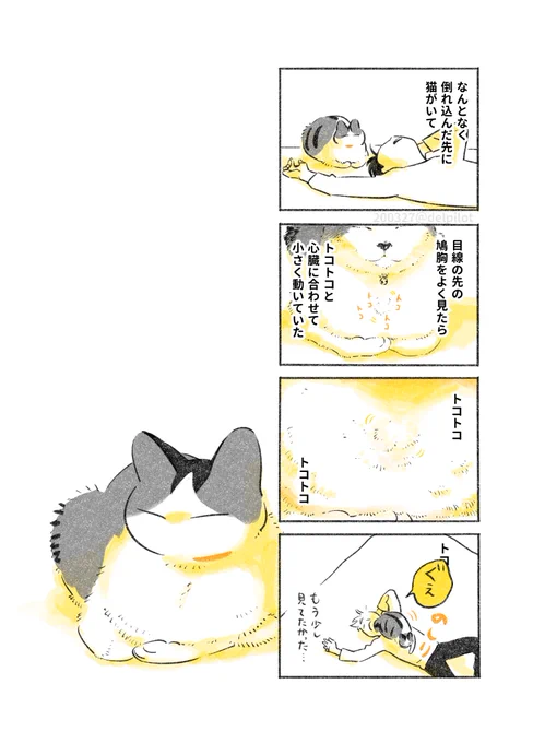 トコトコする猫 
