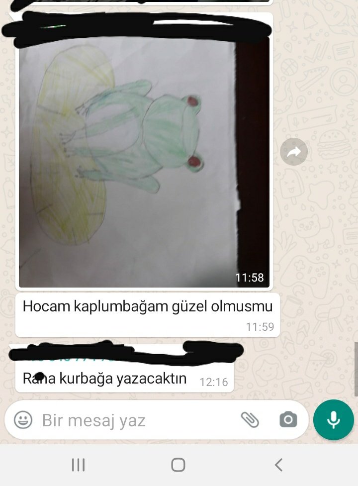 Kardeşimin whatsapp grubu. okuldan uzak kalmak kesinlikle bizlere yaramıyor