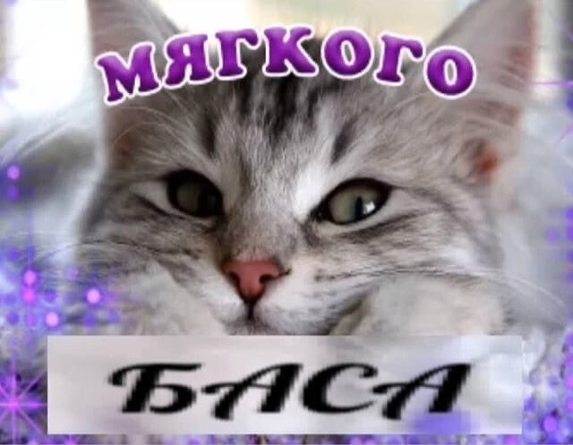 dj_mayonez's tweet photo. всем доброго утра друзья https://t.co/Dg8UBICR9G