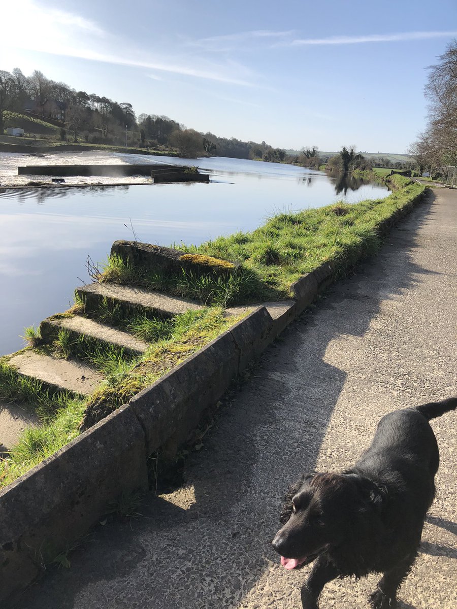 Uplifting views this morning for my ‘once a day’ outing. A very quiet Mourneside walk #stayingpositive #COVID2019