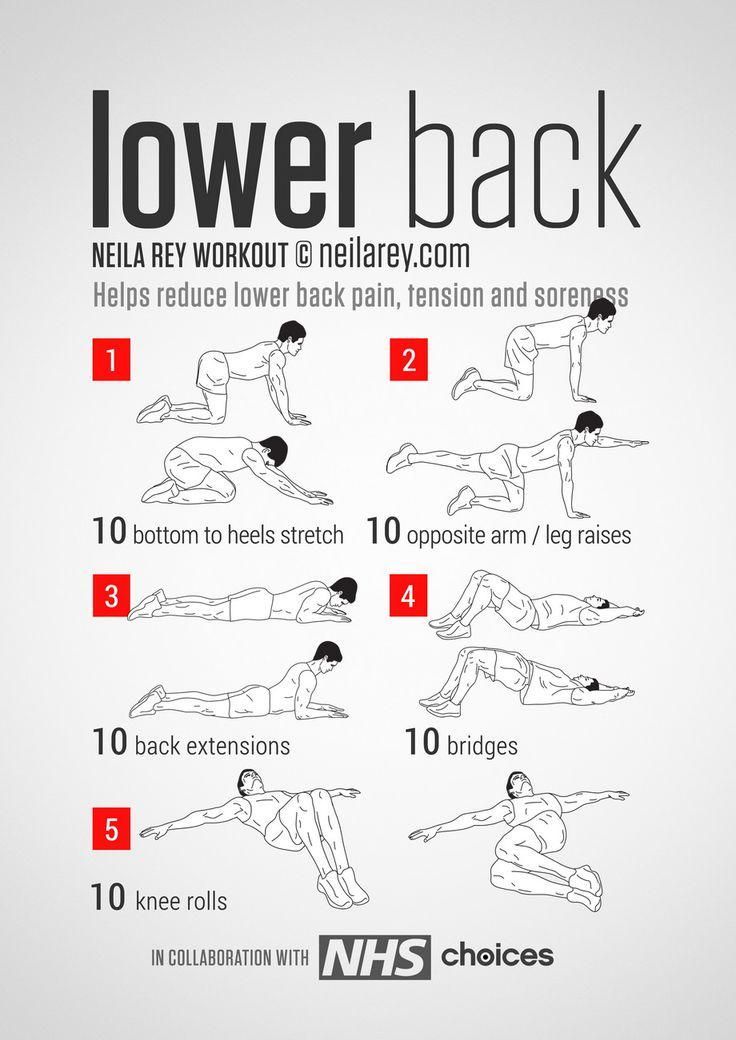 Boathouse Physio on X: Lower back exercises help reduce lower