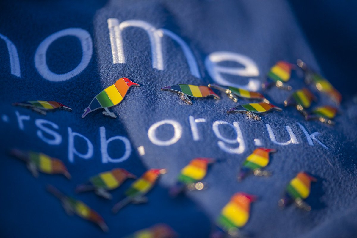 Great volunteering opportunity - we're looking for an LGBTQIA+ Group Support Assistant to come and join the lovely #RSPB staff #LGBTQIA Starlings group!  bit.ly/2JmLVcU #LoveYourNature #Pride  🏳️‍🌈 🌈