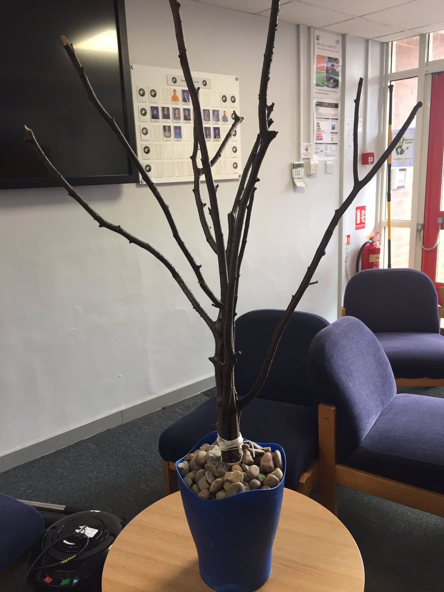 RosehillJuniors's tweet image. Ok - what have we been up to this morning? Check us out later for an update! @40acts @reteamcec #dolentgenerously