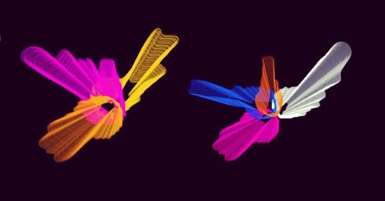 Sound as shape, Alix second year