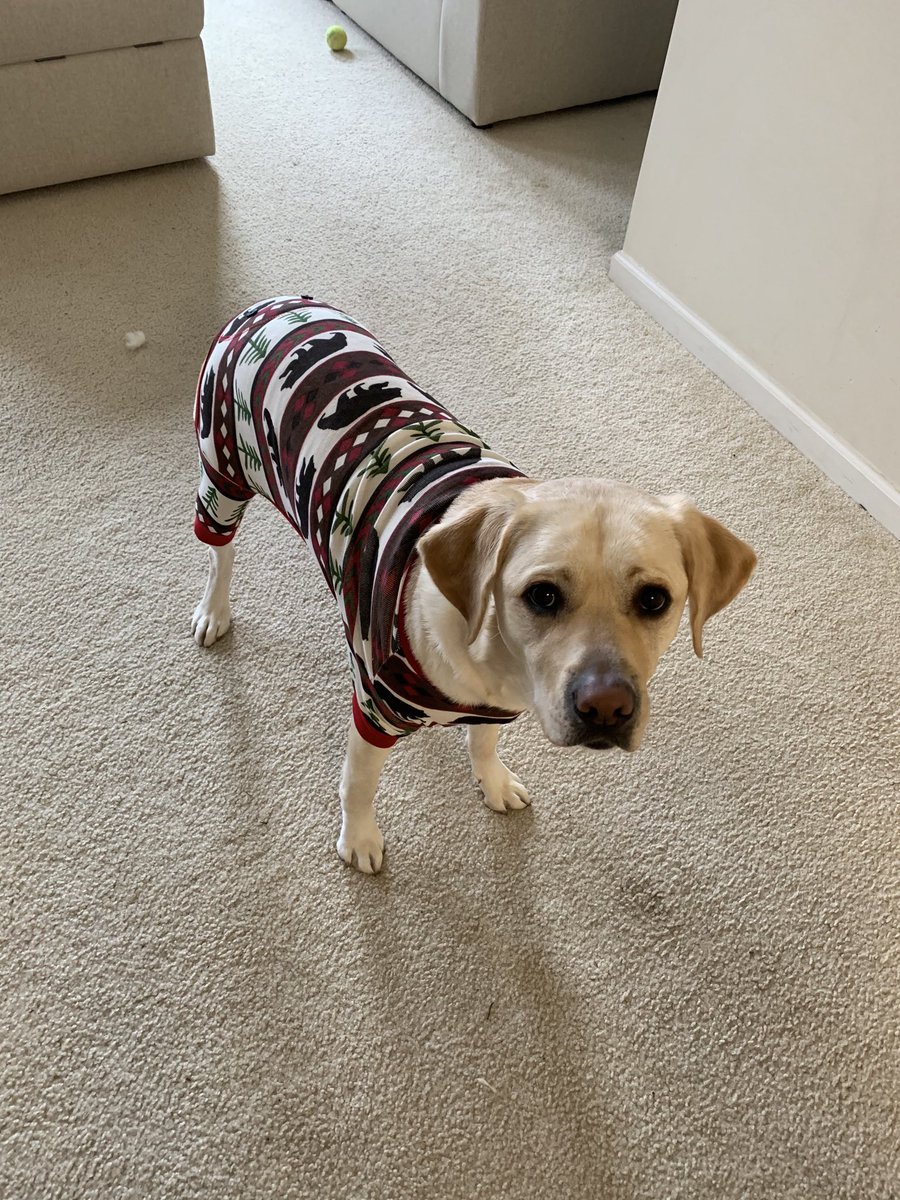 MasterAndrews4B's tweet photo. PJ DAY!!! https://t.co/6SnjQ9RirW