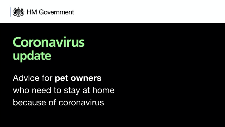 Read our guidance for pet owners, if you're staying at home because of #coronavirus. 
  
There is no evidence of coronavirus circulating in pets or other animals in the UK, and there is nothing to suggest animals may transmit the disease to humans: gov.uk/guidance/coron…