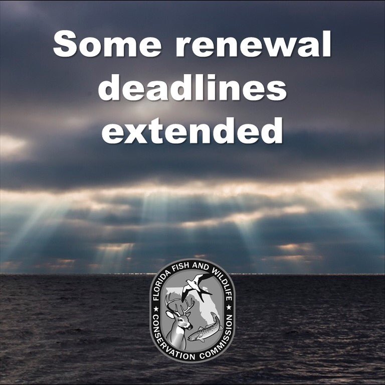ralston_kellie's tweet photo. @MyFWC extends deadlines for state charter fishing licenses up for renewal in March/April for at least 30 days from the current expiration date. Details: https://t.co/IVolOhE6C2 https://t.co/WellMa3gp3