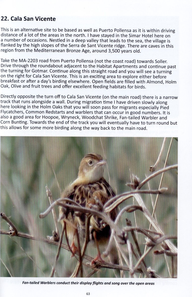 nhbsBooks's tweet photo. New arrival! #Birds of #Mallorca: An Accurate and Comprehensive Guide to the 340 Species of Birds, Covering 31 Sites Across the Island https://t.co/syuRrx2CFB @ecology_cymru @birdforum @BirdBooksChat @_BTO @Natures_Voice @BirdWatchingMag @BirdWatchDaily  #birdwatching https://t.co/46SJqRG5Ch