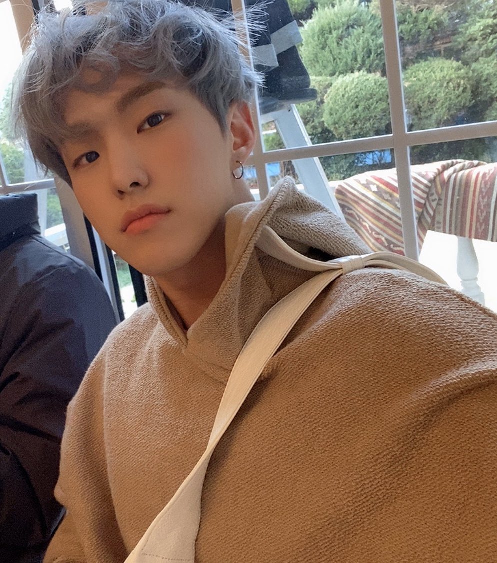 [17'S 호시] 선물🥳🐯