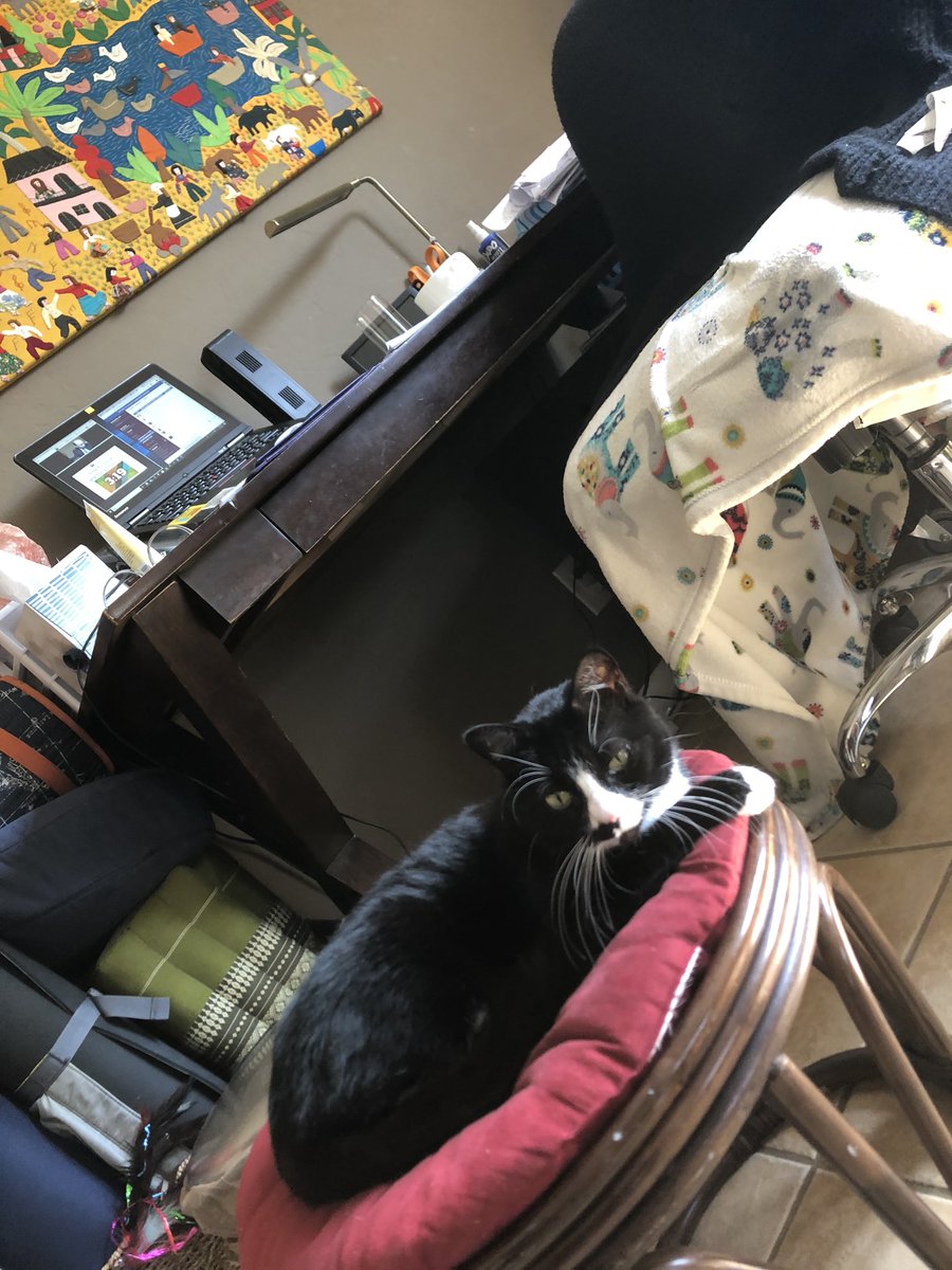 MsNamasTECH's tweet photo. Turns out that Lilli and Willow are both #auditorylearners πππ #CSintheSunshine #Day5 #kinestheticlearner ππ½ #spiritfingers https://t.co/W7f0CwVw6l