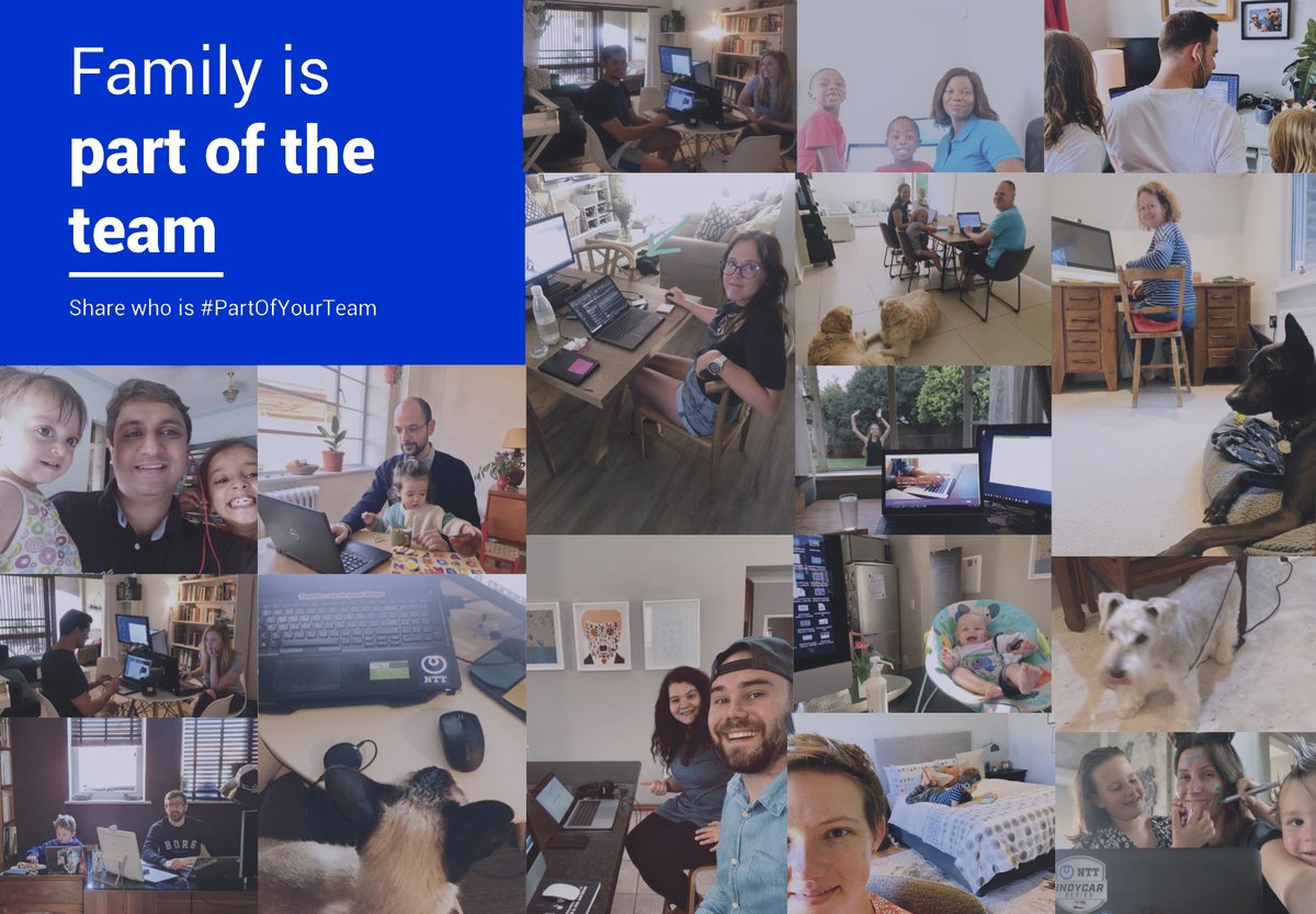 rutherowan's tweet photo. Am loving the chance to have a nosy into my colleagues homes and get to know their family and pets. Amazed how well we're mostly adapting to our new way of working #FamilyIsPartOfTheTeam #HelloNTT @GlobalNTT https://t.co/KyTIvity2R