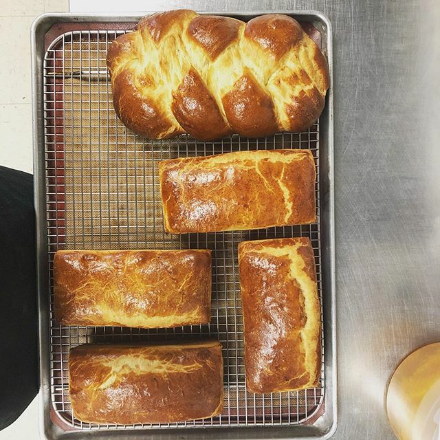 Loaves available to the first who claim them! 4 brioche loaves and one braided challah! Just in time for Shabbat. Call 314-899-0173 to claim yours now. ift.tt/2JgPPUQ