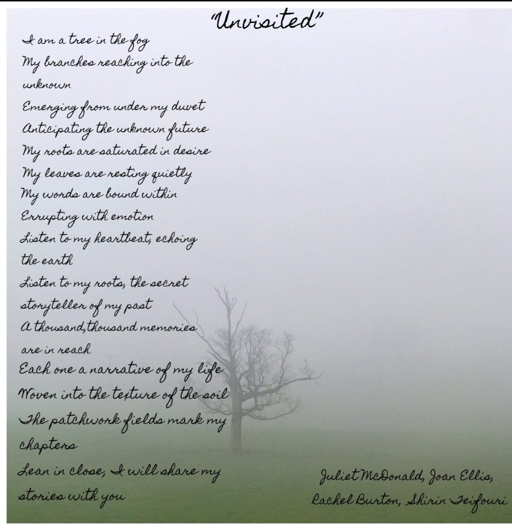 FlourishRo's tweet photo. 'Unvisited'. A beautiful fusion of creative minds (inspired by the wisdom of the trees) in our 2nd virtual poetry workshop. Photo credit to Rachel Burton 
#RotherhamFlourish #connectedworlds  #gratefulfortrees #staysafe
🌳🍀🌾🤝💚 https://t.co/IEwPHFDu9q