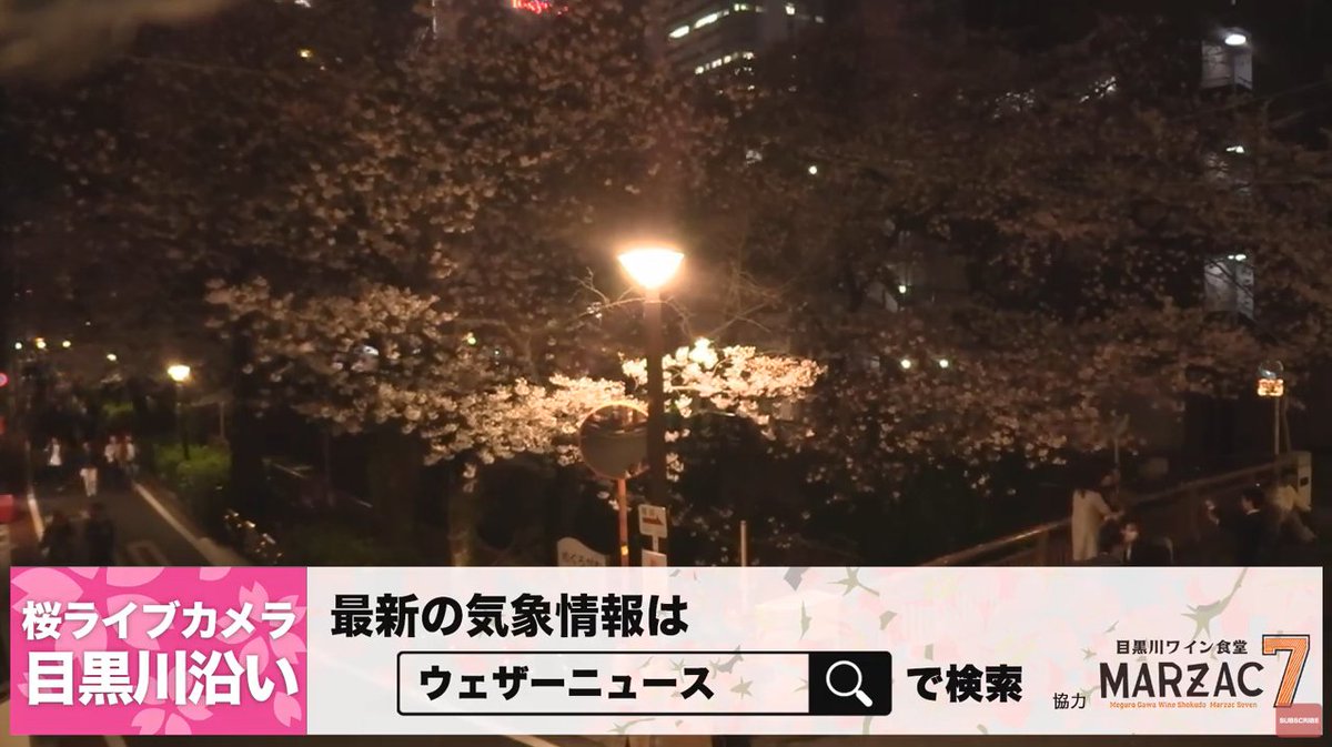 ライブカメラdb ウェザーニュース目黒川沿い桜ライブカメラ 東京都目黒区上目黒 T Co Ahs9mess57 目黒川の桜 目黒川桜 目黒川 夜桜 ライブカメラ ライブカメラdb ウェザーニュース目黒川沿い桜ライブカメラ 東京都目黒区上目黒 T Co Ahs9mess57 目黒川の桜 目黒川桜 目黒川 夜桜 ライブカメラ