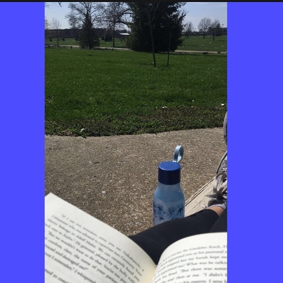 BW Library tweet media