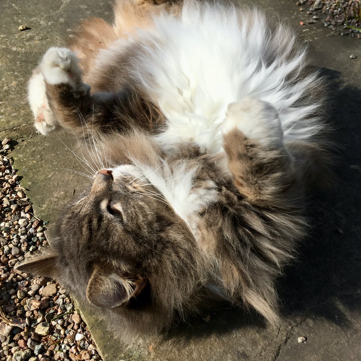 Picnic At Pompeii (@picnicatpompeii) on Twitter photo 