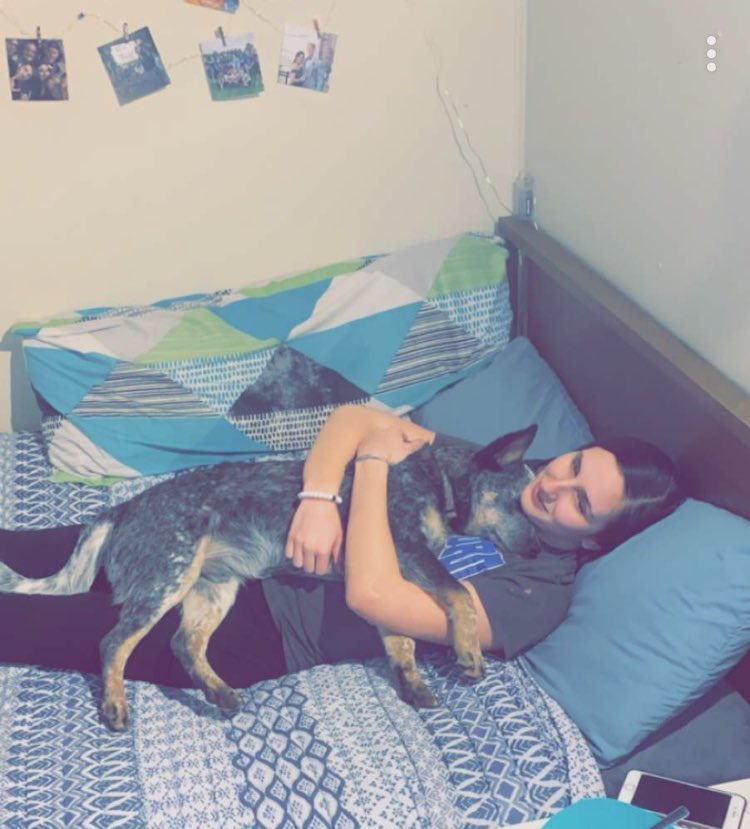 ashtay89's tweet photo. Best cuddles🥰🐾 https://t.co/NkvpIWqsLv