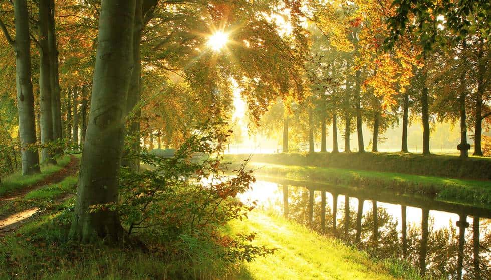 📣 Wat betekent de noodverordening voor vakantieparken/campings/camperplaatsen? Niet ❎ toegestaan: recreatief en toeristisch verblijf. Wel ✅ toegestaan: niet-recreatief in een vakantiehuisje verblijven, bijv. door een verbouwing of scheiding. Meer info: bit.ly/2xpRXXR