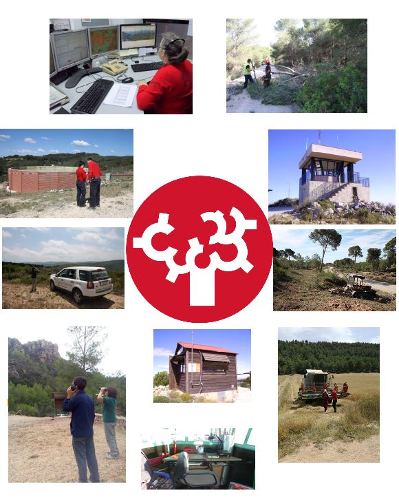 GVAagricultura's tweet photo. 👏Enguany celebrem el 25é aniversari del Servei de Vigilància Preventiva: un dispositiu amb més de 500 persones que treballa per a la prevenció d'incendis forestals en tot el nostre territori. Per molts anys!🎂
#STOPalfoc #IIFF https://t.co/8m8yCz4IZ2