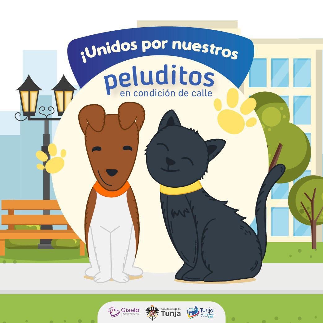 Asocapitales's tweet photo. Los peluditos 🐶🐱que viven en la calle también son importantes. Por esta razón, la @AlcaldiaTunja promueve una campaña para que los ciudadanos donen concentrado, sin salir de casa. ¡Únete a esta gran labor. Ellos también deben ser una prioridad! #CapitalesUnidasPorLaPrevención https://t.co/U8jTBlKw4v