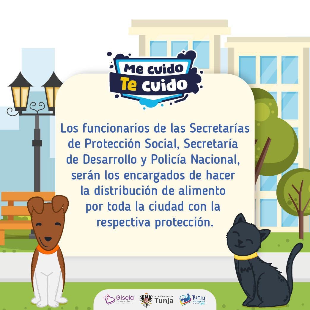 Asocapitales's tweet photo. Los peluditos 🐶🐱que viven en la calle también son importantes. Por esta razón, la @AlcaldiaTunja promueve una campaña para que los ciudadanos donen concentrado, sin salir de casa. ¡Únete a esta gran labor. Ellos también deben ser una prioridad! #CapitalesUnidasPorLaPrevención https://t.co/U8jTBlKw4v