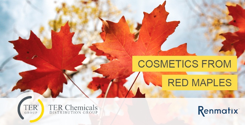 TER Chemicals Distribution Group tweet media