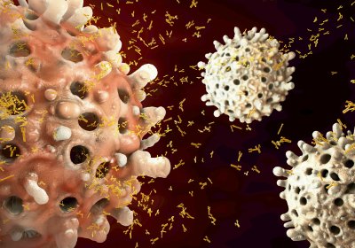 dr_koko28's tweet photo. Dalam tubuh kita sudah disiapkan pasukan yang kita harap bekerja optimal melawan SARS-CoV-2.

Siapa saja mereka?
1. Immunoglobulin G &amp; M,
2. Sel T-helper,
3. Sel T-killer, dan
4. Sel B (pabrik antibodi), etc.

Catatan : Optimalnya sistem imun tercapai dengan Hidup Bersih &amp; Sehat. https://t.co/zwqM8cOVed