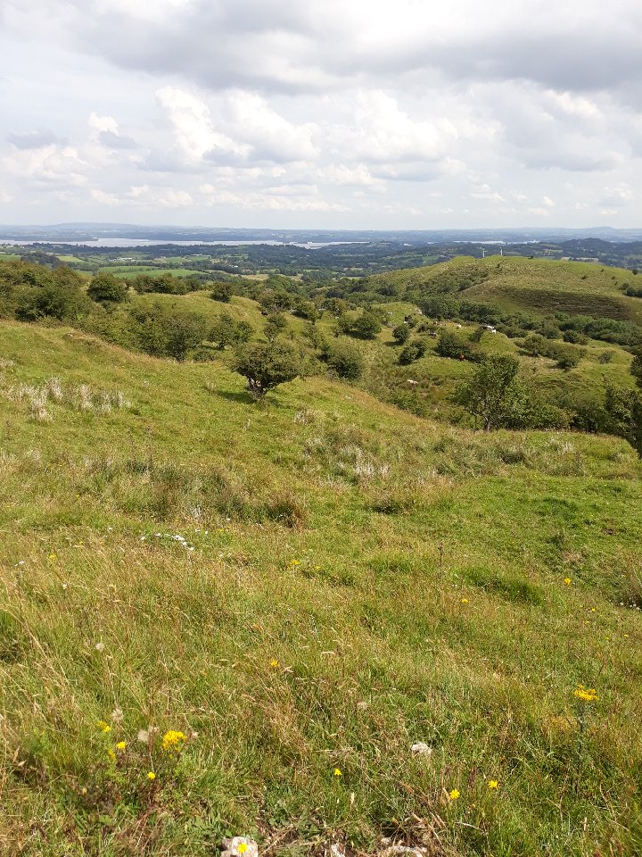 maiden_abbie's tweet photo. @theNPMS 1 #NPMS2020 Hugh McCann one of our NI #NPMSvolunteers surveys a site in the hills of west Fermanagh, known to ecologists since the Victorian era; Monawilkin. Site consists of very undulating terrain with big changes in vegetation. Image: Calcareous mountain grassland. https://t.co/zrT4WeLmnY