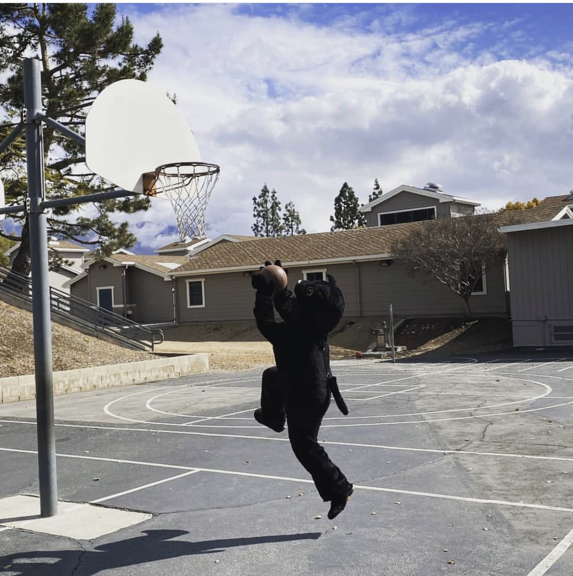 PepperTreeUUSD's tweet photo. Pepper loves to play and get exercise. Did you Play 60 today?
#GetMovingPLAY60
#pepperthepanther
#peppertree
#UplandStrong @UplandUnifiedSD https://t.co/g8bGNrcsN0