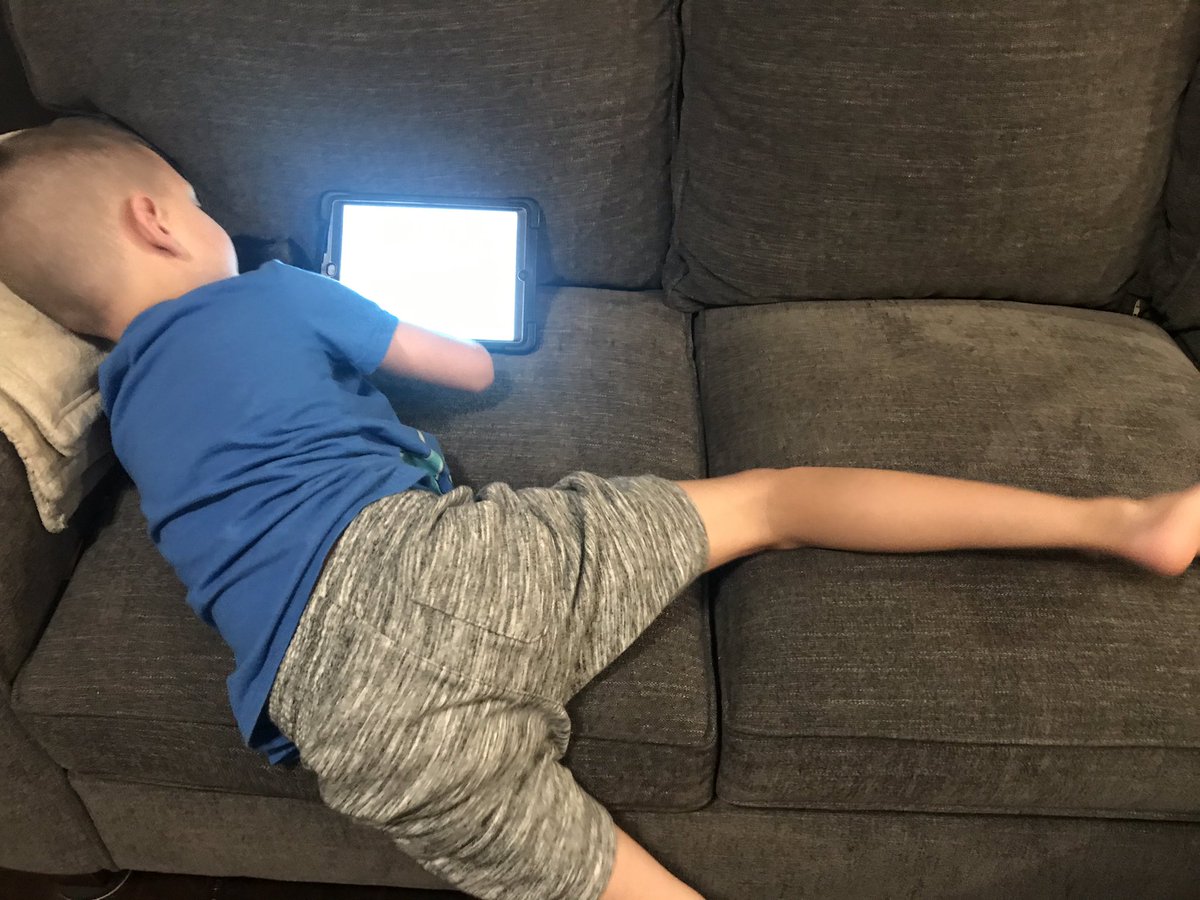 Amanda Koushan tweet media