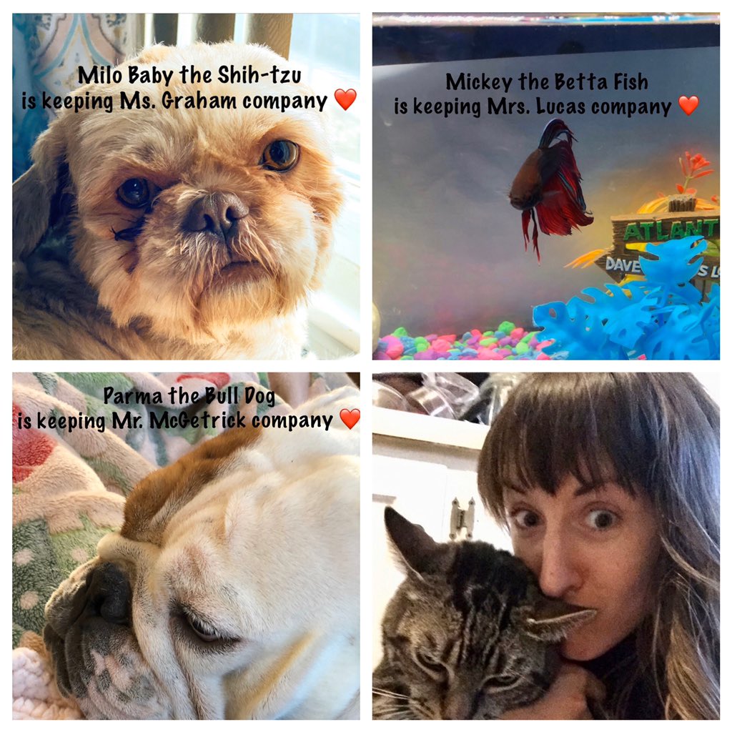 Letourneau Elementary School on Twitter: "Today Grade 5 teachers want you  to share a picture of yourself with your pet! 🐶🐱Don't have a pet? No  worries, draw an animal or share your