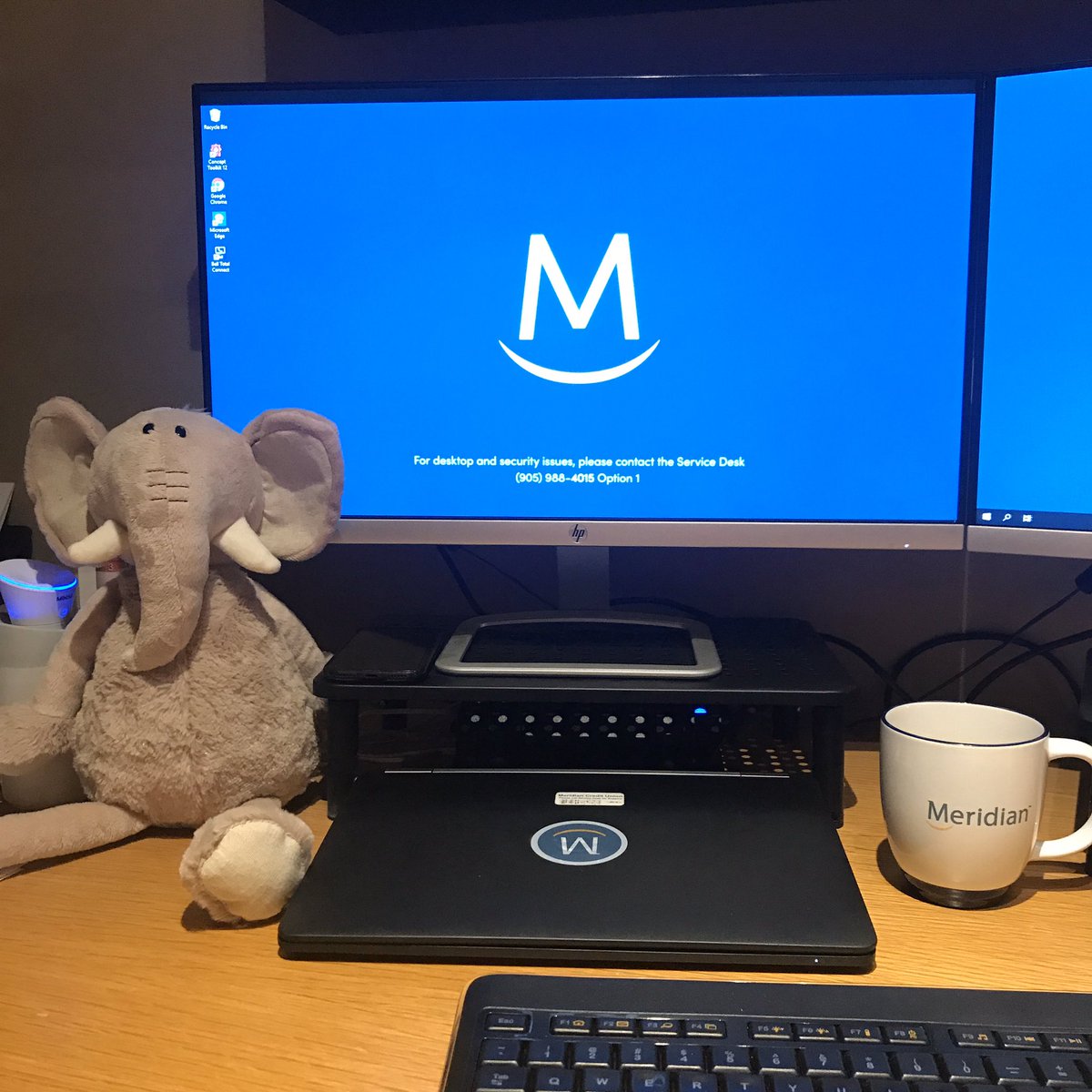 adamriggin1's tweet photo. It is Friday. Somehow it does not feel like Friday. Ready to go for the day. My granddaughter loves elephants so Reggie is here to remind me why I am self isolating. #meridianstrong, @.life.@MCU, https://t.co/QSwubOOB7n