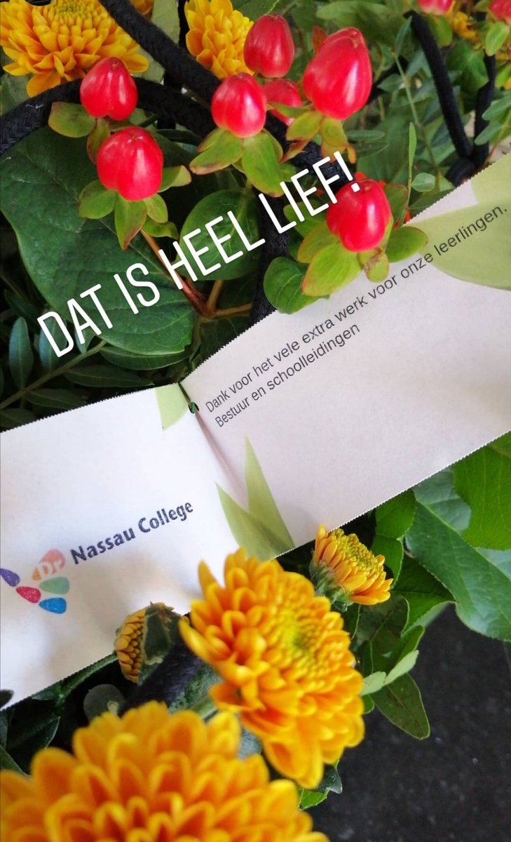 Dr. Nassau College locatie Penta tweet media