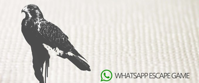 dutchcowboys's tweet photo. The Black Hawk: Briljant, een escape game via Whatsapp https://t.co/WZWlVlYD6O https://t.co/gsjb3kuYNu