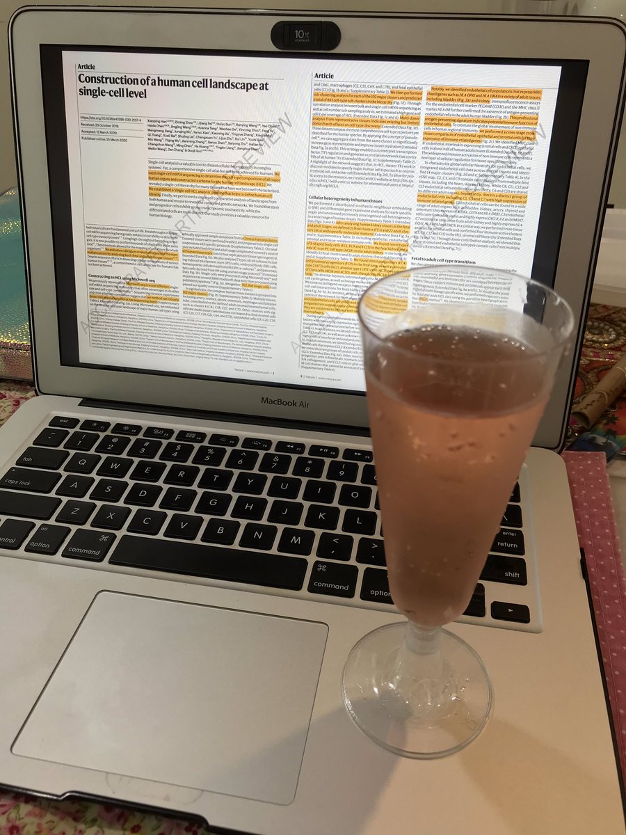 rheapai1's tweet photo. Today’s beer review session with @asharmaiisc, @Justine_SJW & @armish1910 🍻 #virtualdiscussions #workstillgoeson https://t.co/MFHUPOynmI
