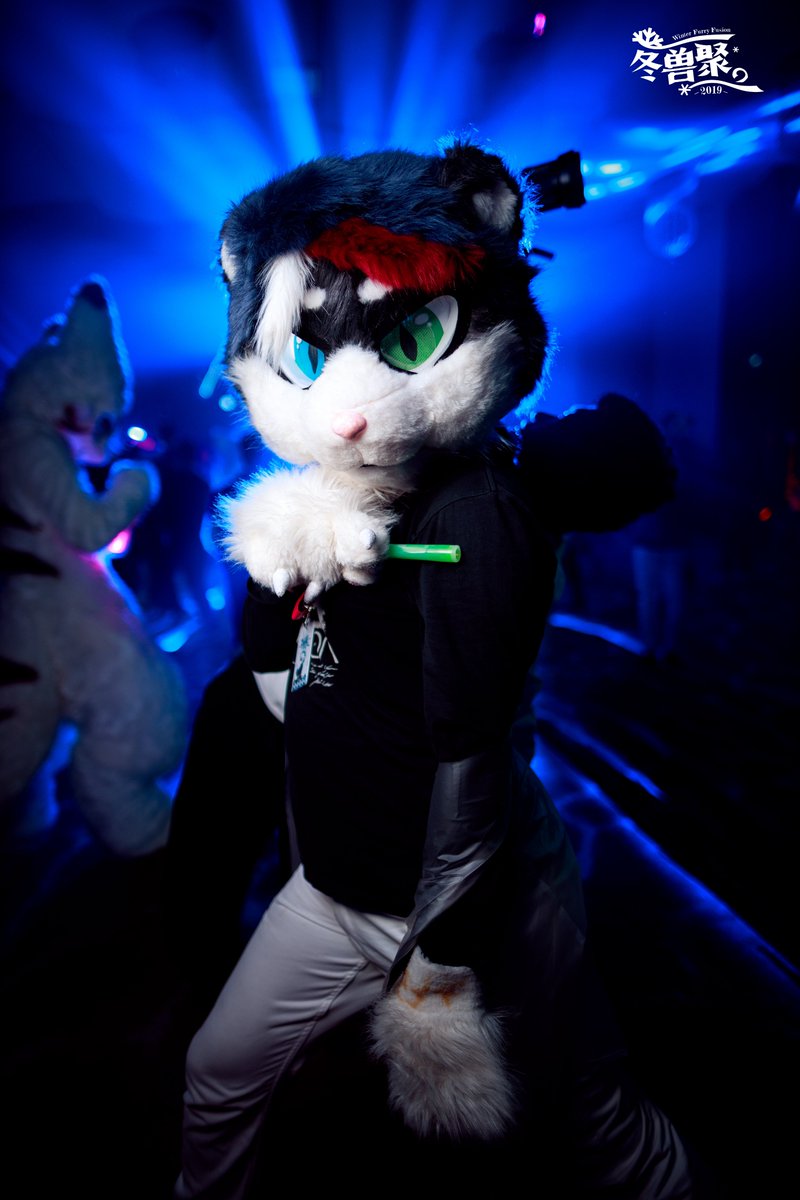 furrychina's tweet photo. #SFF2019 #WFF2019 #FursuitFriday 
Party in the NIGHT!!!!!
📸 by @chungou_cn &amp; 小Jack https://t.co/zoSi50dax9