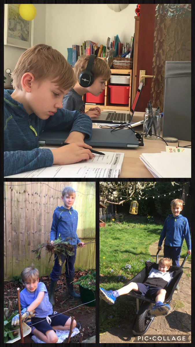 WelshSnowdrop's tweet photo. @HuntingtonCPS As well as doing some school work, we’ve been working hard in the garden while the sun is shining! https://t.co/fmfJCB54FY