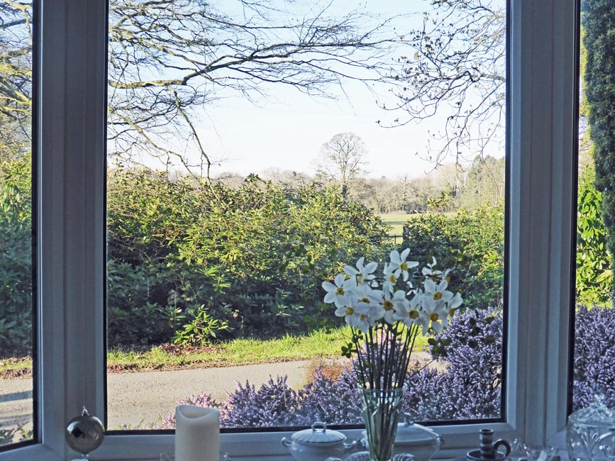 tywyddmon's tweet photo. Wow: Low humidity values 32% here SE #Anglesey and #Valley this morning, but in #Llanfairfechan #Gorwel 18% and #Gorddinog 20%. Freshly picked vase of scented #Narcissus naturalised over 60-years #Llansadwrn #StayingAtHome #CoronavirusLockdownUK #AngleseyScMedia @DerekTheWeather https://t.co/Da25oRfmB2