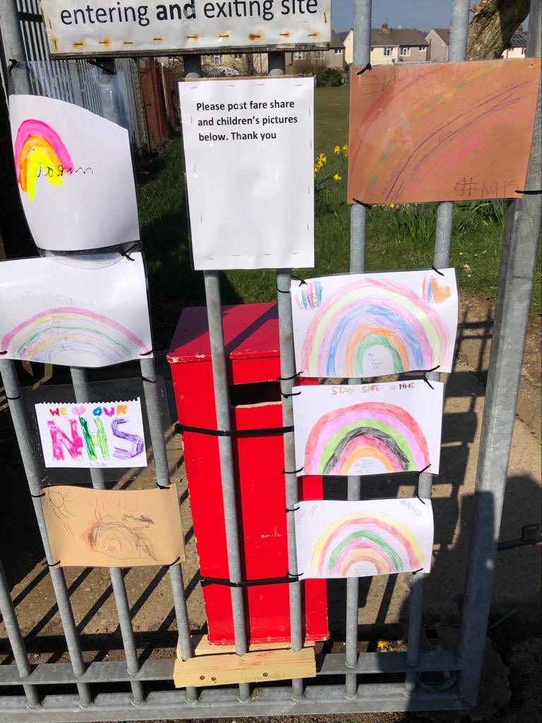 Trinant Primary tweet media