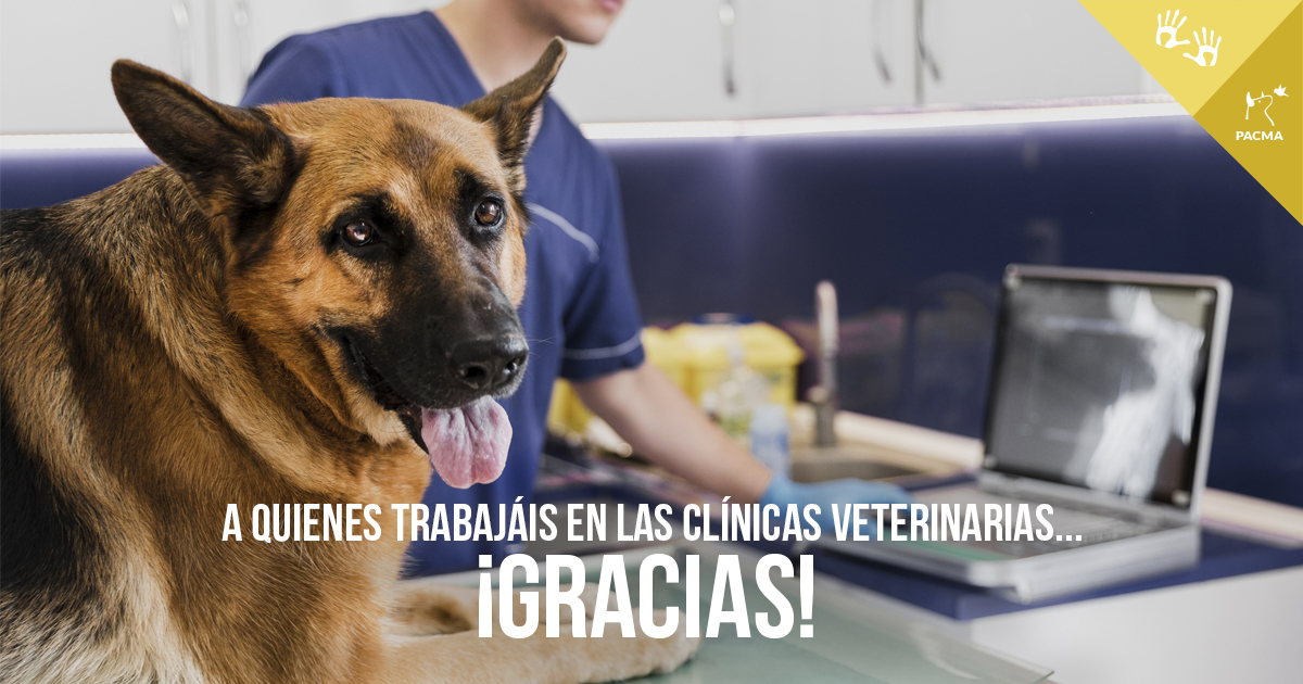 PartidoPACMA's tweet photo. 💚 Muchas gracias por cuidar siempre de nuestros animales.

🐶🐱 Las clínicas veterinarias siguen abiertas. 
👉 Acude SOLO EN CASO DE URGENCIAS y llama antes para pedir cita y comprobar el protocolo para garantizar la seguridad de todas las personas que trabajan en las clínicas. https://t.co/rmczFiBI2E