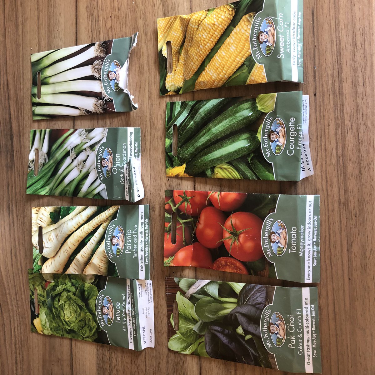 LizzyLogsGeog's tweet photo. Big job for the morning, planting seeds ready to go into the greenhouse #suttonsseeds #gardening #homeschool https://t.co/EoJeSAVUFm